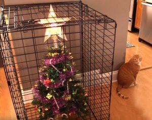 Karácsonyfa biztonságos felállítása macska cica háziállat mellett ellen